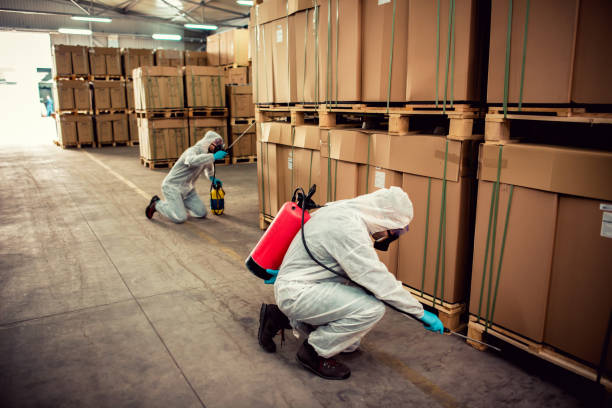 Best Ant Control Services  in Tahlequah, OK