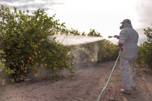 Best Cockroach Control Services  in Tahlequah, OK