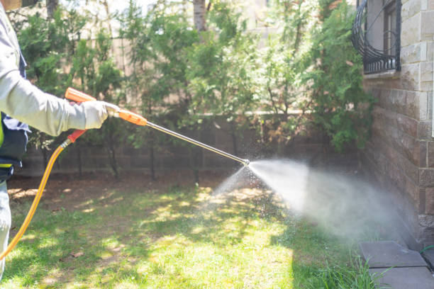 Best Pest Control Near Me in Tahlequah, OK