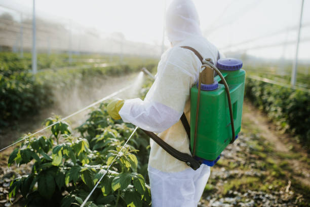 Best Cockroach Control Services  in Tahlequah, OK